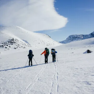 Ski resorts - 熊猫体育